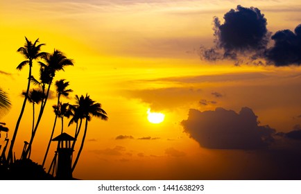 Plage Cocotiers Photos Et Images De Stock Shutterstock