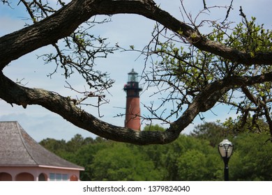 Lighthouse in Tree