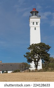 Lighthouse and tree