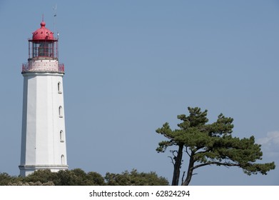 lighthouse and tree