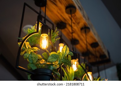 A Lighting Bulb With Greenery Plant Pot Which Is Hanged From Ceiling For Decorating The Room In Greenery Office Style. Interior Decoration Object.