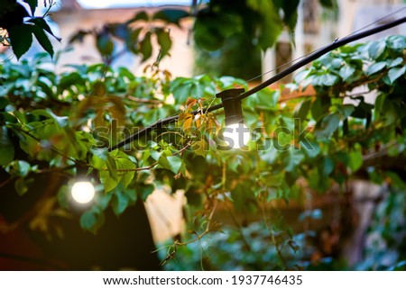 Image, Stock Photo Lantern in the evening