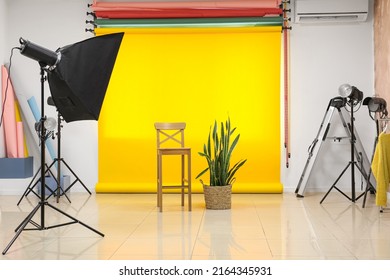 Lighting equipment, chair, houseplant and cyclorama in modern photo studio