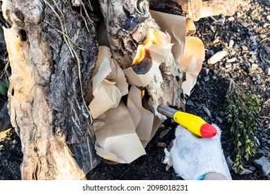 Lighting Fire With Paper And Butane Torch Outdoors On Sunny Day