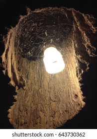 Lighting Inside Old Wood Burrow