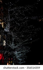 lighting tree in the dark