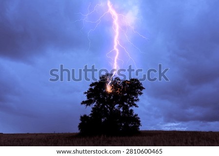 Lightning bolt hitting a lone tree, starting a fire during a dark storm
