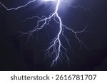 lightning bolt with multiple tendrils, creating an intricate web-like pattern