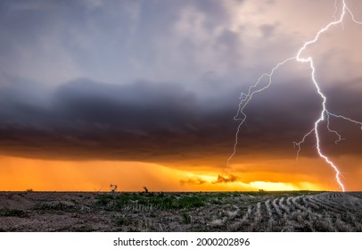 Lightning over a field in a thunderstorm. Thunderstorm lightning