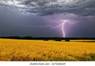 Lightning in the storm sky over the field. Lightning storm with thunderbolt in thunder