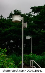 Lightpost, lamp, and light bulb with open space around it.