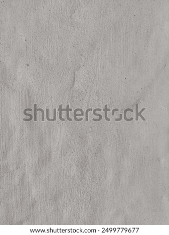 Lightr Limestone Wall Plaster Closeup with Brush Marks