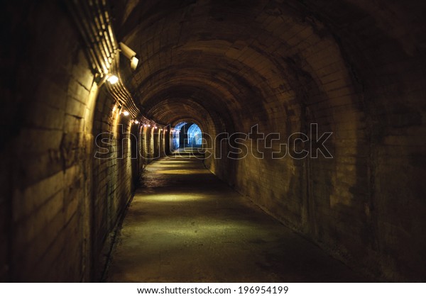 Lights Along Dark Tunnel Arched Ceiling Stock Photo Edit Now