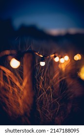 Lights Leading The Way Towards The Beach