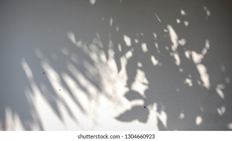 Lights leaves reflections walls - Shutterstock ID 1304660923