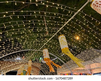Lights and some decorations with trees