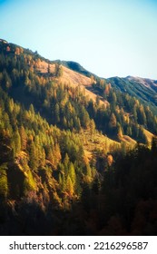 LightShadow scenery caught during fall time in the mountains
