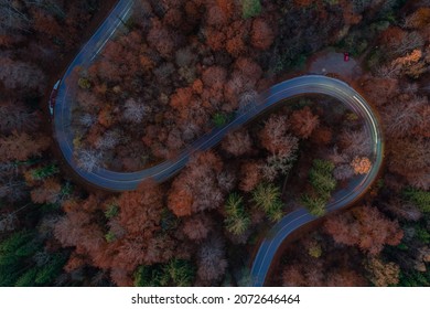 Lighttrails on a curvy road captured from above, atmospheric wallpaper of travelling in the fall season.