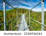 Lignon  canyon himalayan bridge, France