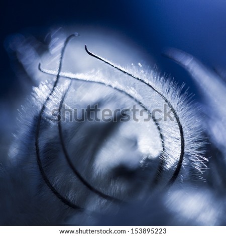 Similar – Image, Stock Photo torpor Colour photo
