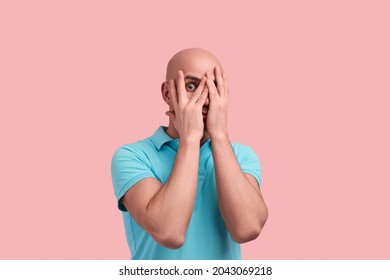 Like horror movie. Scared bald homosexual man with bristle, hides face behind palms, peeks through fingers, feels frightened, gay friendly, wears blue polo shirt, poses over pink background