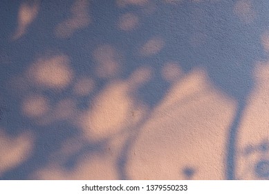i like shadow and light