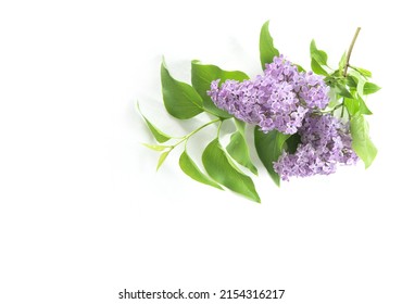 Lilac Flowers Bouqet With Green Leaves On White Tablecloth