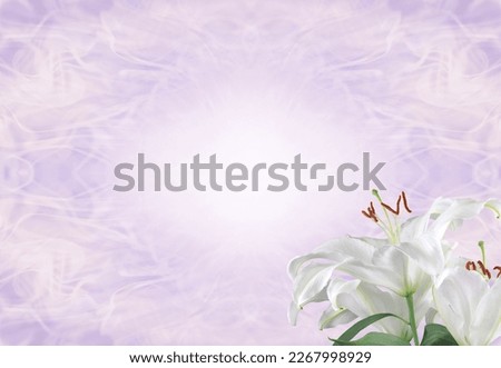 Lilac Funeral Wake Order of Service Lily Template - white lily head against a subtle angelic ethereal gaseous pastel coloured background with copy space
