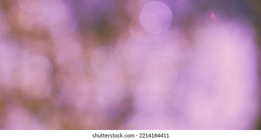 Lilac Gentle Abstract. Light Colored Background, Colorful Decoration. 