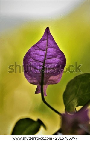 Similar – Image, Stock Photo Clematis | tendril to the sky.