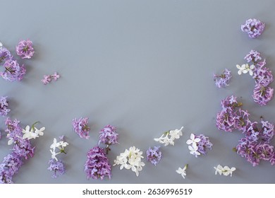 Lilac petals on gray background with copy space.