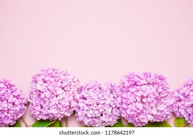 Lilac pink hydrangea flower on pastel pink background flat lay. Mothers Day, Birthday, Valentines Day, Womens Day, celebration concept. Top view Floral background.