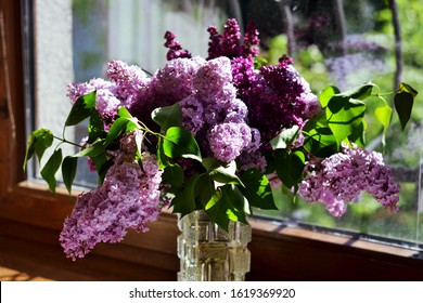 Lilac In A Vase (Syringa Vulgaris)