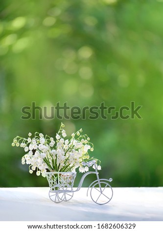 Similar – Wunderschöne Sommerszene mit Blumenstrauß der Kamille