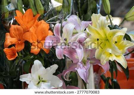 Lilies in various colors including orange, pink, yellow, and white forming a fresh bouquet