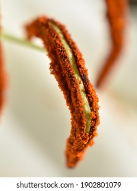 Lilium Orientalis Pollen Macro Stamen