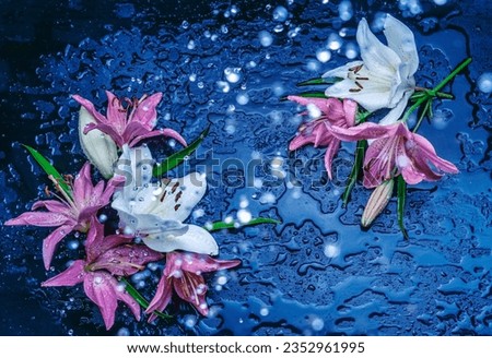 Lilly flower bouquet and water droplets on dark background