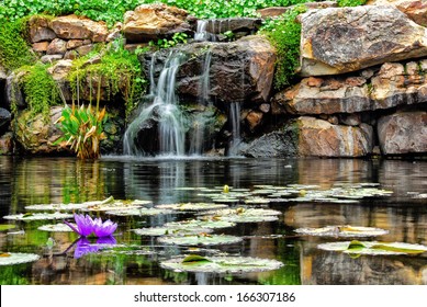 Lilly Pad And A Water Fall