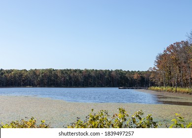 Lilly Pads And A Fishing Pier On Pinewoods Lake In Mark Twain National Forest