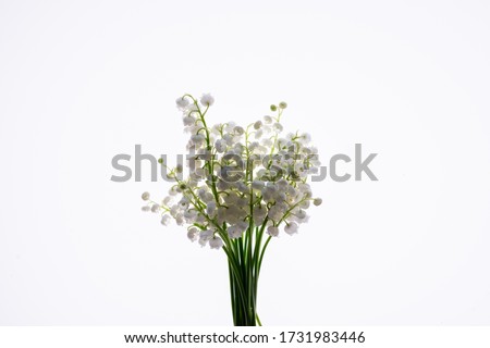 Similar – White flowers on white