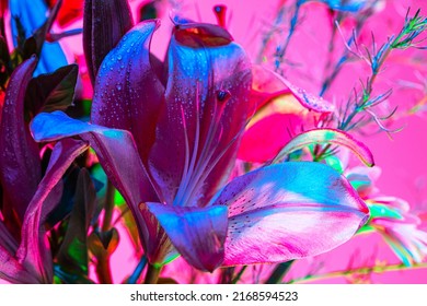 53,620 Magenta bouquet Images, Stock Photos & Vectors | Shutterstock