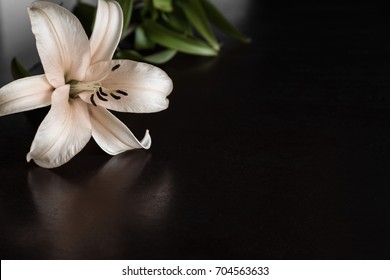 Lily flower on the dark background. Condolence card. Empty place for a text.