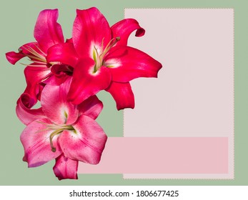 75 Green Lily Page Border Images, Stock Photos & Vectors | Shutterstock