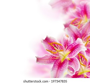 Lily Flowers Background Stock Photo (Edit Now) 197347835