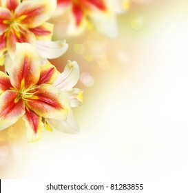 3,116 Lilly flower borders Images, Stock Photos & Vectors | Shutterstock