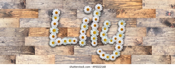 Lily Name In Daisy Letters Reclaimed Wood Background