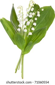 Lily Of The Valley Bouquet On White Background