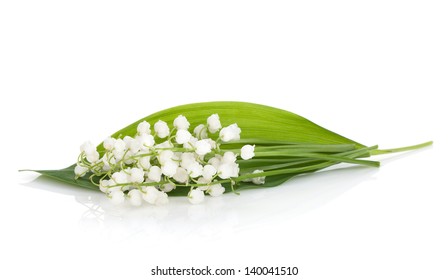 Lily Of The Valley. Isolated On White Background