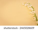 Lily of the valley on beige background with copy space. White tiny flowers on peach fuzz background. Romantic postcard. Springtime concept. Summer flat lay. Minimalism concept.