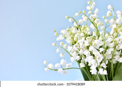 Lily of the valley on a blue background. a holiday of lilies of the valley on May, 1st - the French tradition. place for text. copy space. - Shutterstock ID 1079418089